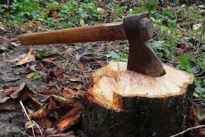 “Azərtexnolayn” şirkəti təbiətə minlərlə manat ziyan vurdu