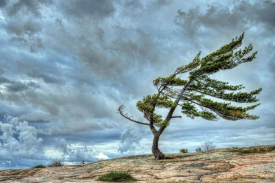 Sabah külək əsəcək - PROQNOZ