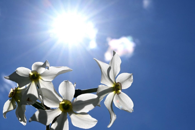 Sabah Sumqayıtda 33 dərəcə İSTİ OLACAQ