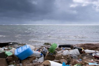 Sumqayıt sahilini zibilləyənlər CƏZALANDIRILDI