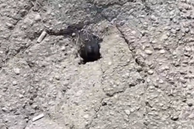 Sumqayıtda bu yol ÇÖKƏ BİLƏR