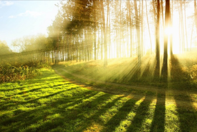 İyulun ilk ongünlüyü üçün hava xəbərdarlığı
