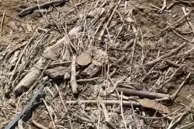 Novxanıda ödənişsiz çimərliyin ACINACAQLI VƏZİYYƏTİ