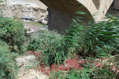 Sumqayıtda fabrik çayı və dənizi ÇİRKLƏNDİRİB