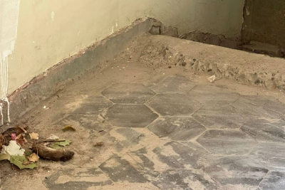 Siçovul cəsədi, zir-zibil - Qurumlar hara baxır?