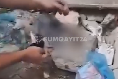 Sumqayıtda pişiklərə əzab verən manyak peyda olub - VİDEO