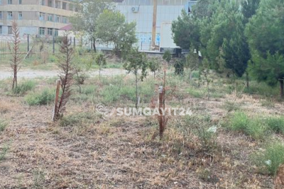 Sumqayıtdakı yaşıllıqlara NƏZARƏTSİZLİK