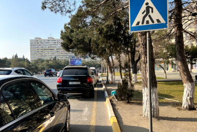 Sumqayıtda ağacların arasında “gizlənən” TƏHLÜKƏ