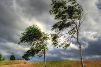 Sumqayıtda küləkli hava şəraiti ilə bağlı XƏBƏRDARLIQ