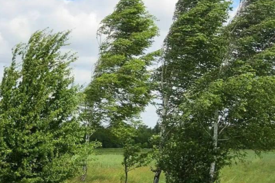 Sumqayıtda güclü külək əsəcək - XƏBƏRDARLIQ