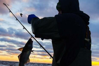 Azərbaycanda bu tarixdən balıq ovuna icazə veriləcək