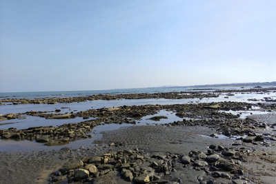 Xəzərin suyunun duzsulaşdırılmasına 400 milyon dollar XƏRCLƏNƏCƏK 