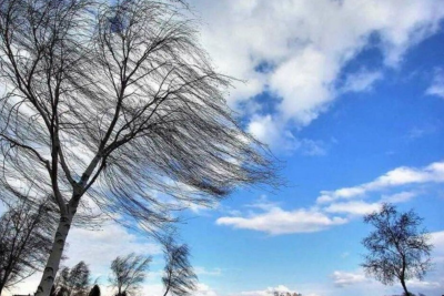 Sumqayıtda güclü külək ƏSƏCƏK