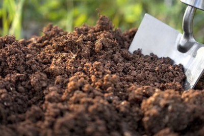 Sumqayıtda torpaq almaq istəyənlərin NƏZƏRİNƏ