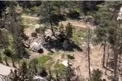 Sumqayıtda ağacları kəsdilər - Polis məsələyə qarışdı