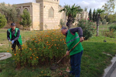 Sumqayıtda abadlıq işləri aparılıb