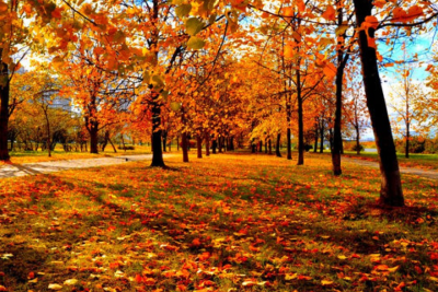 Noyabr Sumqayıta payızın sərin nəfəsini gətirəcək