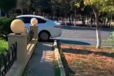 Sumqayıtda vətəndaşlar "zebra" AXTARIŞINDA