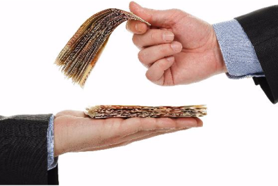 Gələn il orta əmək pensiyaları bu qədər olacaq