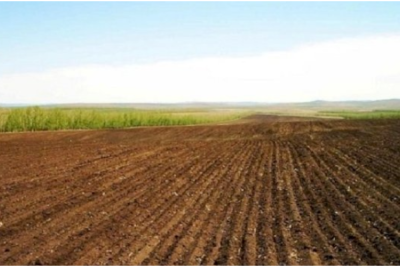 Sumqayıtda torpaq hərracları elan edilib