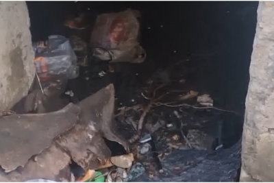 Ceyranbatanda gölə çevrilən ZİRZƏMİ