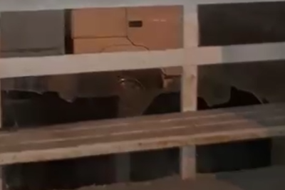 Sumqayıtlı gənclərdən aidiyyəti qurumlara DƏRS