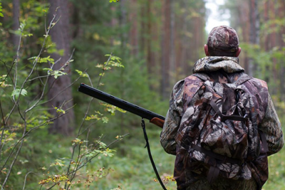 Xəzərdə suyun səviyyəsi endi - Ov mövsümü BAŞA ÇATDI