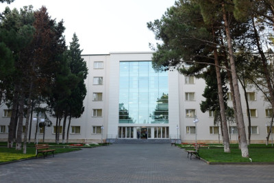 Sumqayıtda gənc qadın abortdan sonra ölüb? - İDDİA