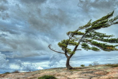Sumqayıtlıların nəzərinə: Güclü külək əsəcək