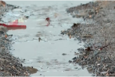 "Uşaqlar dərsə gedib-gələ bilmir" - ŞİKAYƏT