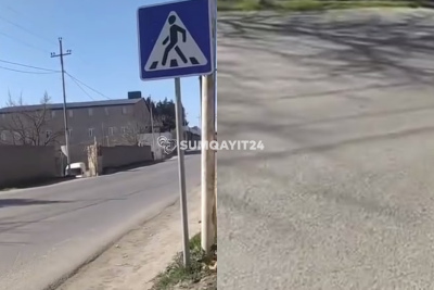 Sarayda yenilənməyə ehtiyacı olan "zebra"lar