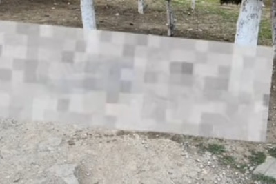 Sumqayıtda küçədə meyit tapıldı