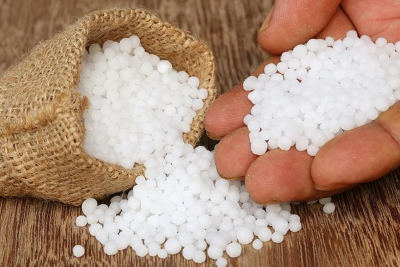 Sumqayıtda bu məhsulun istehsalı KƏSKİN AZALIB