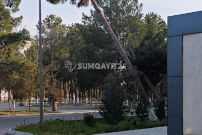 Sumqayıtda qurumlar "hərəkətə keçmək" üçün faciə gözləyir?