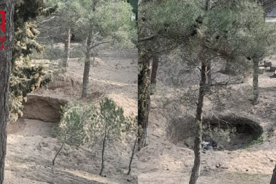 Nəsimi parkında yaşıllıq məhv edilir?