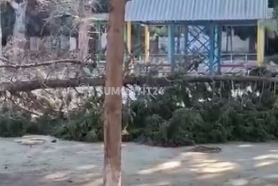 Sumqayıtda uşaqlar üçün riskli yol