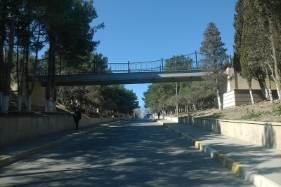 Sumqayıtda ağacları daha kəsə bilməyəcəklər