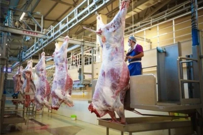 Qurbanlıq ət kəsildikdən neçə saat sonra yeyilməlidir?