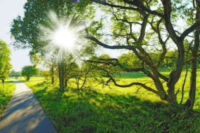 Bayram günlərində hava necə olacaq?