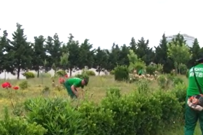 Sumqayıtda yaşıllaşdırma işləri aparılır