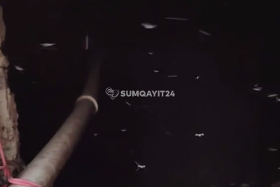 Üfunət qoxusu, həşərat basqını - Sumqayıtdan ŞİKAYƏT