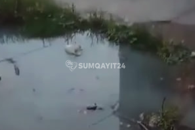 Sumqayıtda çirkab su problemi: Qurumdan açıqlama