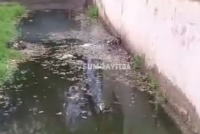 Sumqayıtın işlək küçəsində narahatedici mənzərə