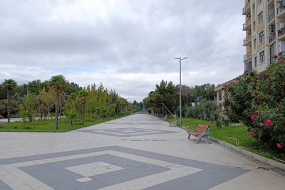 Sumqayıtda döyüş iti parkı bir-birinə qatdı – İDDİA