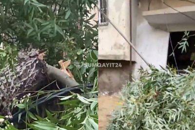 Sumqayıtda ağacın budağı qaz borusunun üstünə aşdı