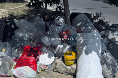 Ağac dibini zibil qabı kimi istifadə edən Sumqayıt sakinləri