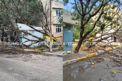 Ceyranbatanda ağaclar yola aşdı, hərəkət çətinləşdi