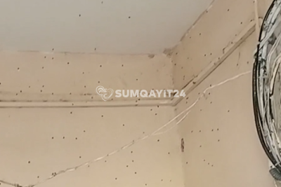 Sumqayıtda yaşayış binasını həşərat basıb