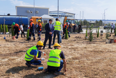 Sumqayıt Sənaye Parkının ərazisində 300-dək ağac əkilib