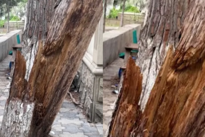 Ceyranbatanda məktəb qarşısında narahatedici vəziyyət